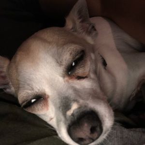 Meet your Posher, Andres